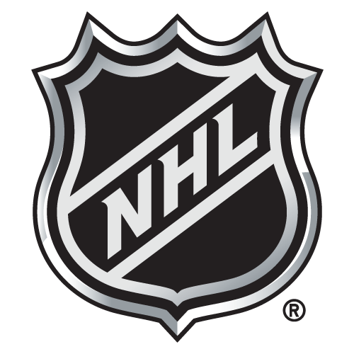 NHL icon